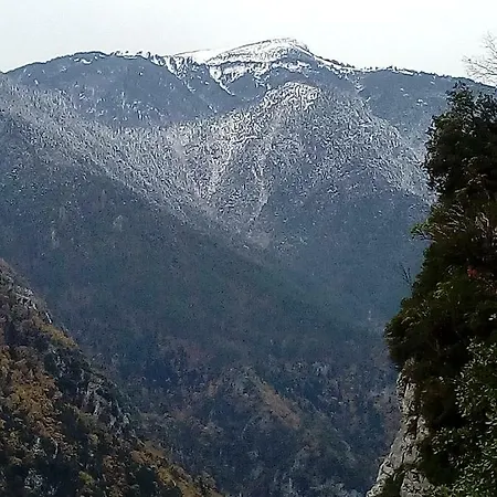 Apartment Near Olympus Mountain Litochoro